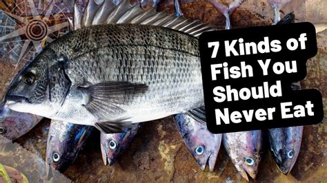 4 fish you should never eat|4 Fish To NEVER Eat (Avoid These Like The Plague).
